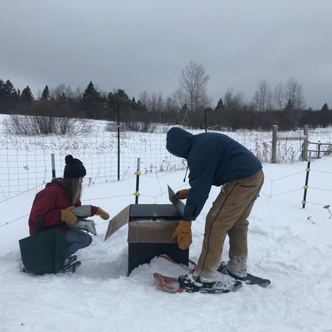 Students on the farm in winter
